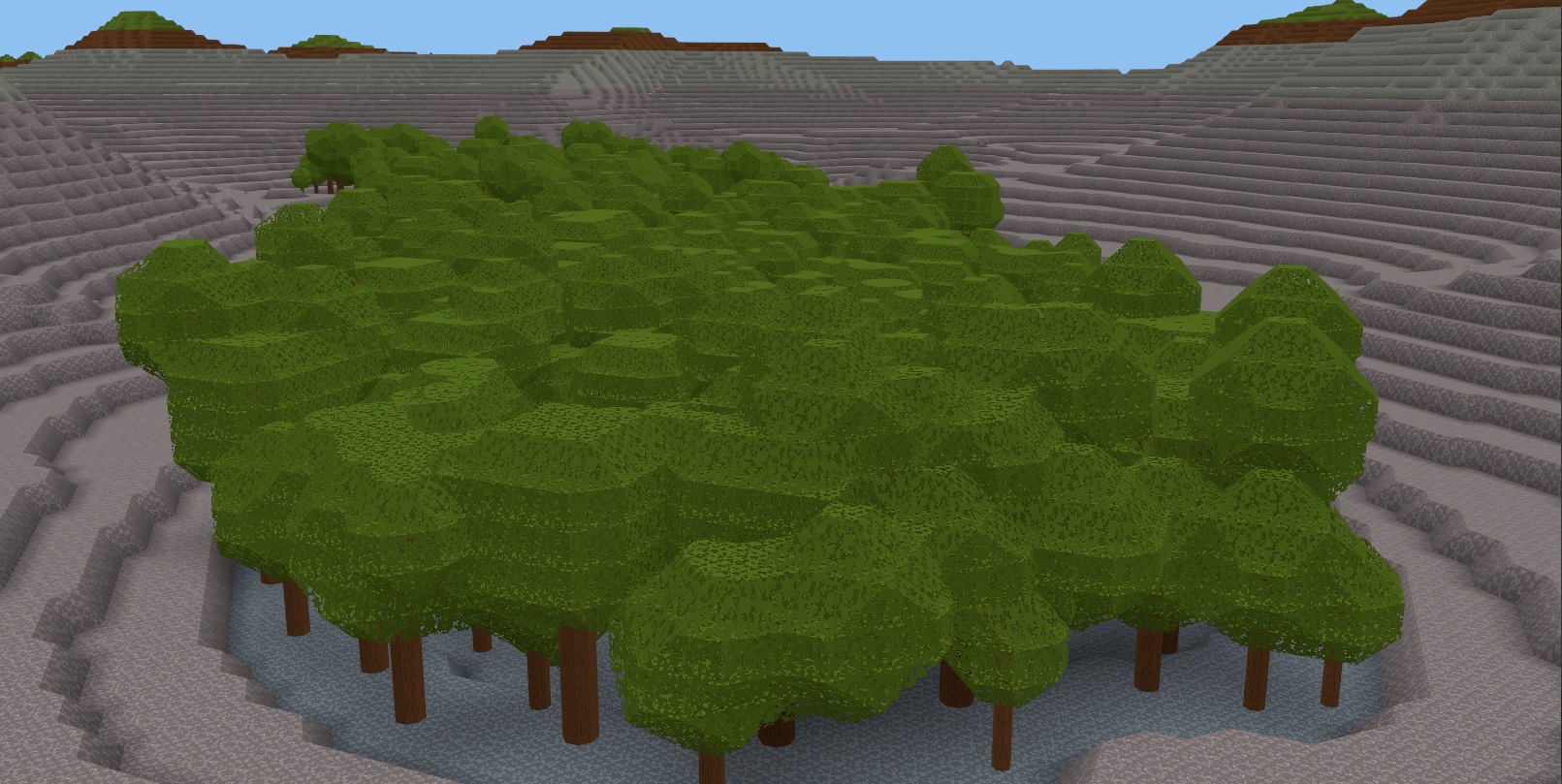 Dense forest in a valley